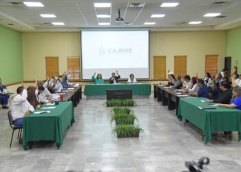 APRUEBA CABILDO REGLAMENTO DEL CONSEJO PARA LA PREVENCIÓN Y ATENCIÓN DE LA VIOLENCIA FAMILIAR Y DE GÉNERO