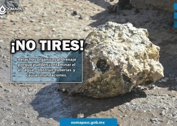 Tirar desechos orgánicos al drenaje puede dañar el medio ambiente: OOMAPASC