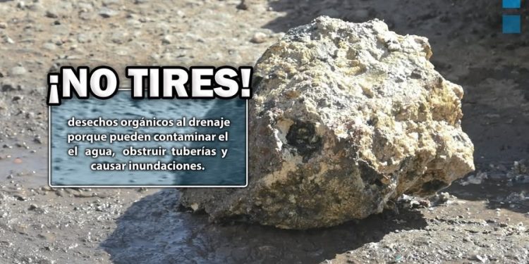 Tirar desechos orgánicos al drenaje puede dañar el medio ambiente: OOMAPASC