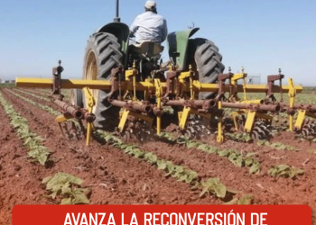 Unión Europea se solidariza con México ante imposición de aranceles de Trump