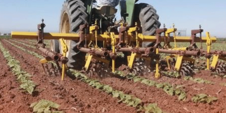 Unión Europea se solidariza con México ante imposición de aranceles de Trump