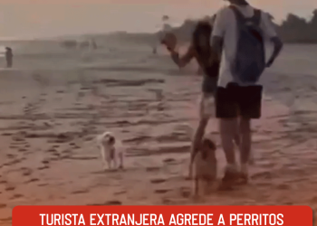 Unión Europea se solidariza con México ante imposición de aranceles de Trump