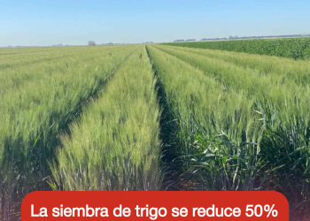 Habitantes de Cajeme pueden concluir sus estudios de manera gratuita