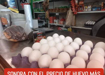 FIFA excluye al León del Mundial de Clubes