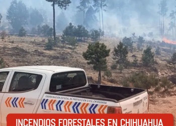 Incendios forestales en Chihuahua llegan a poblados Tarahumaras