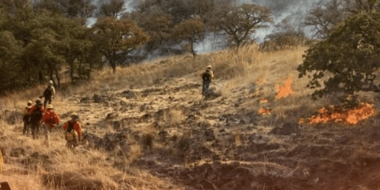 Muere Val Kilmer, actor de Batman Forever y Top Gun, a los 65 años