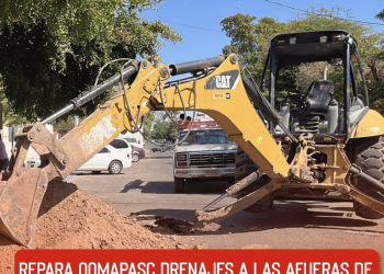 Sheinbaum presenta el festival ‘México canta’ para promover la música mexicana