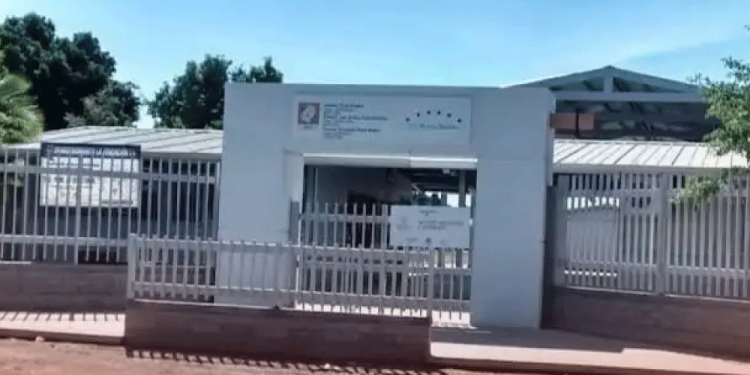 Atienden caso de plaga de pulgas en Tobarito