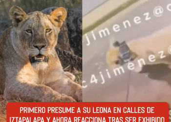 Niegan visa de trabajo a Óscar Maydon en EE.UU: ¿Cancelará su gira?