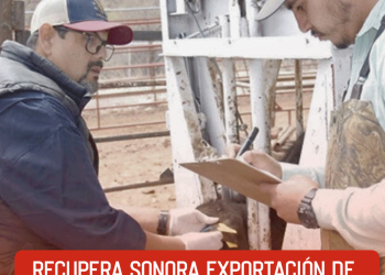 Colapso del techo de la discoteca Jet Set; actuaba Rubby Pérez