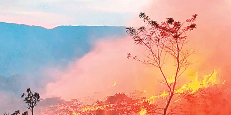 Jóvenes dan “manita de gato” a la Calzada Antonio Valdez Herrera, en Cócorit