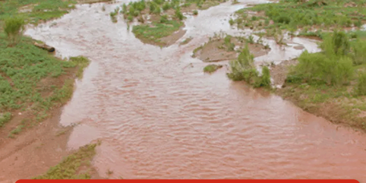 Guns N’ Roses en México: Fecha, preventa de boletos y todo lo que debes saber de su regreso al país