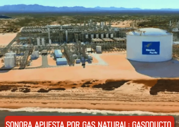 Estas son las severas acusaciones de maltrato animal de AimeP3