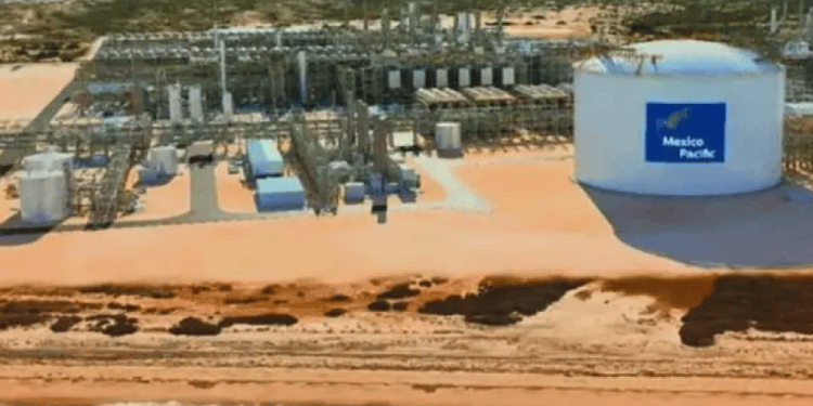 Estas son las severas acusaciones de maltrato animal de AimeP3