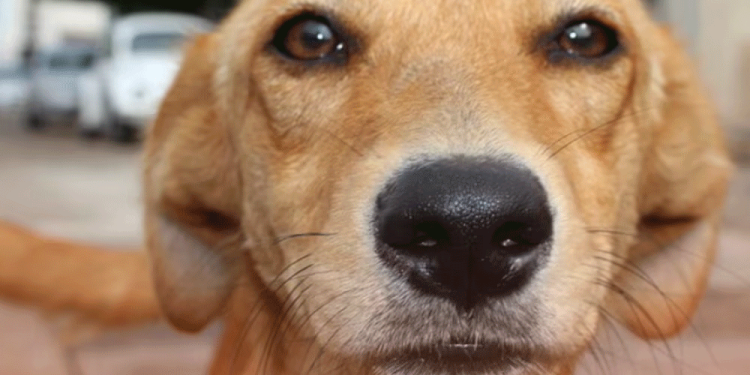 Scarlett Johansson pidió ser borrada de Thunderbolts: esta es la razón detrás de su decisión