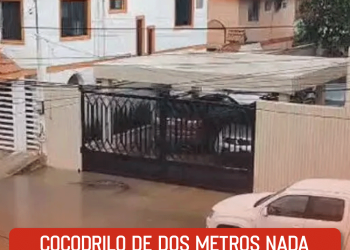 Vive Latino anuncia sus fechas oficiales para el 2026