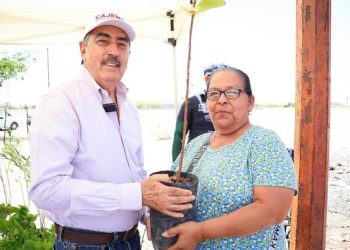 ENTREGAN ÁRBOLES GRATUITOS EN CAJEME