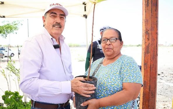 ENTREGAN ÁRBOLES GRATUITOS EN CAJEME