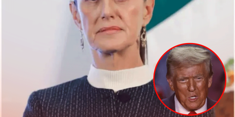 más de 45 perros fueron envenenados en San Luis Potosí y se investiga el caso