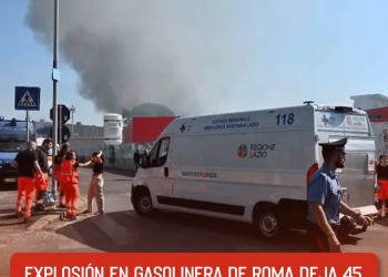 más de 45 perros fueron envenenados en San Luis Potosí y se investiga el caso