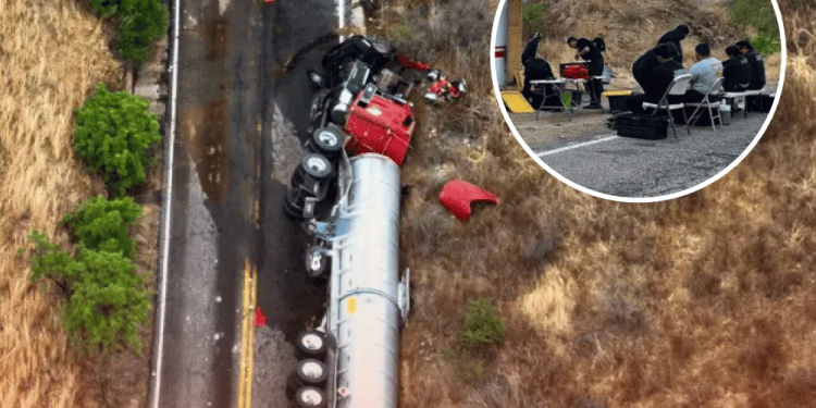 más de 45 perros fueron envenenados en San Luis Potosí y se investiga el caso