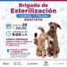 Brigadas de Esterilización en Marte R. Gómez y Tobarito