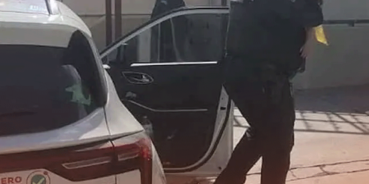 Renovarán órganos clave del Sistema Nacional de Búsqueda