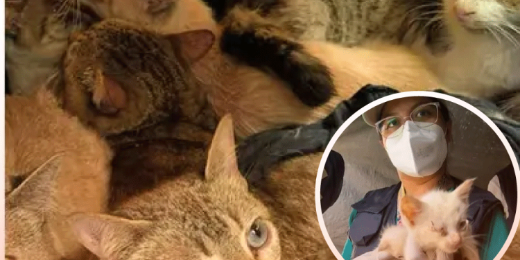 Embajador de EU comparte foto de la entrega de Chávez Jr. a México