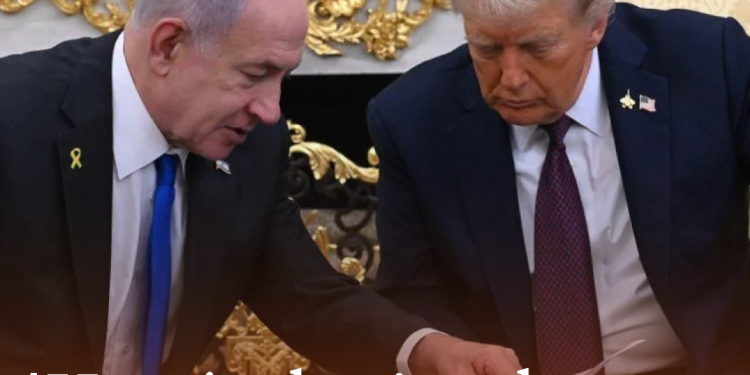 Hamas acepta plan de Trump para terminar guerra Gaza; piden negociaciones