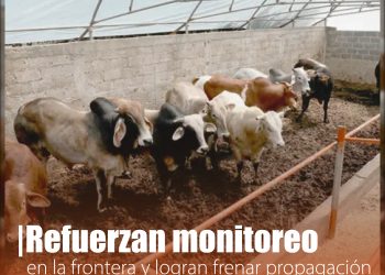 Vigilancia activa evita nuevos casos de gusano barrenador en frontera