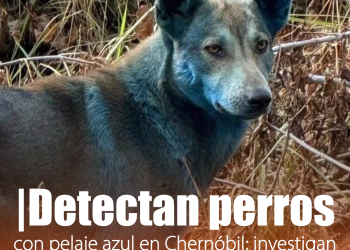 Trump ordena pruebas nucleares inmediatas en EE.UU. ante ensayos de otras potencias