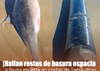 Defensa de Christian Nodal afirma que cumple con obligaciones