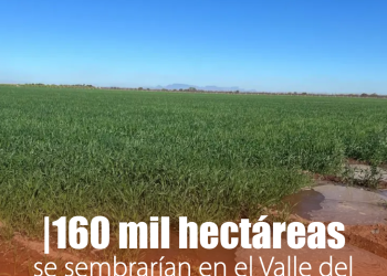 Atenderán en EU a víctimas de Waldo´s