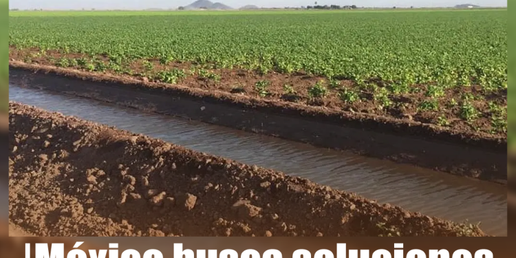 Nodal respira: libra vinculación a proceso luego de maratónica audiencia de 10 horas