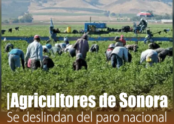 Fan que atacó a Ariana Grande es expulsado y vetado permanentemente de Singapur