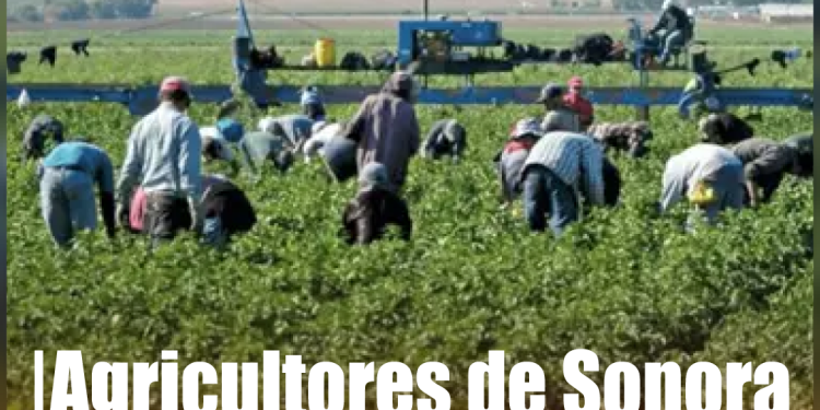 Fan que atacó a Ariana Grande es expulsado y vetado permanentemente de Singapur