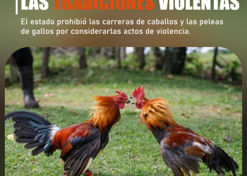 JUAN GABRIEL VIVE EN SU MÚSICA El cantautor será homenajeado con una edición especial de Los Dúo en el aniversario de su natalicio. SECCIÓN: ESPECTÁCULOS