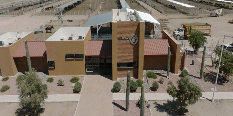 SHEINBAUM VISITARÁ SONORA