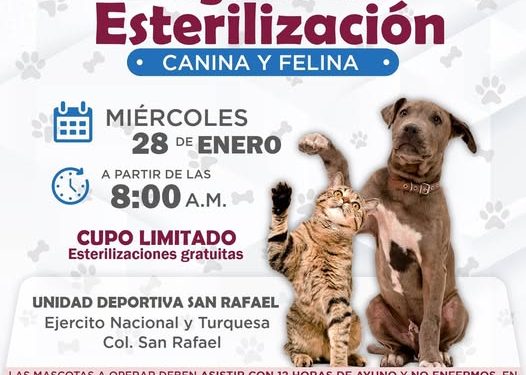 Brigada de Esterilización Canina y Felina en Cajeme