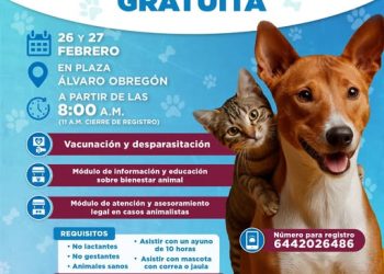 El Municipio de Cajeme invita a la Campaña de Esterilización Gratuita