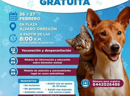 El Municipio de Cajeme invita a la Campaña de Esterilización Gratuita