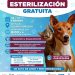 El Municipio de Cajeme invita a la Campaña de Esterilización Gratuita