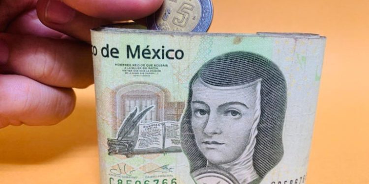 Germán Valenzuela alerta sobre posible caída en la producción de trigo en México