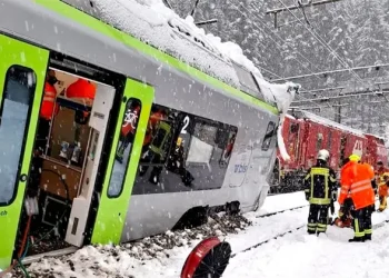 Sagarhpa mantiene vigilancia por gusano barrenador en Sonora