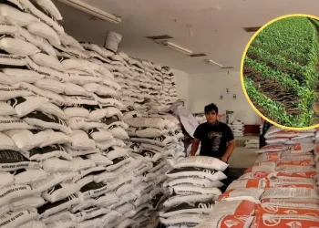 ARRANCA EN SONORA ENTREGA DEL PROGRAMA “FERTILIZANTES PARA EL BIENESTAR 2026”