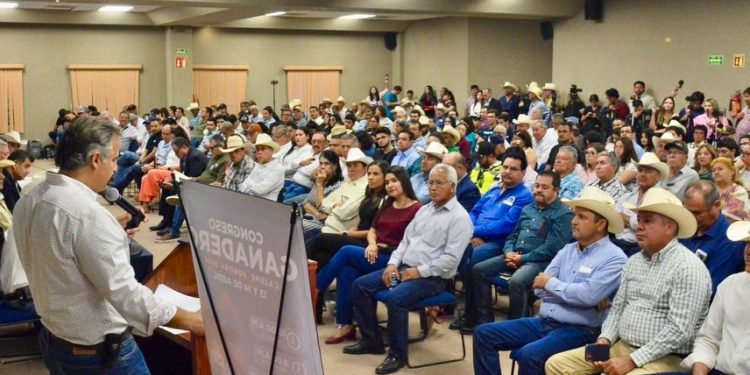 Impulsando el desarrollo del sector ganadero en Cajeme