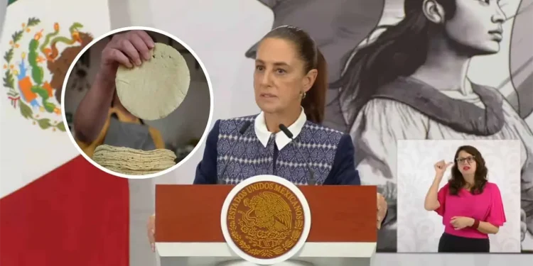 Sheinbaum descarta aumento en el precio de la tortilla en México