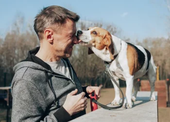 Los perros dan besos a su manera