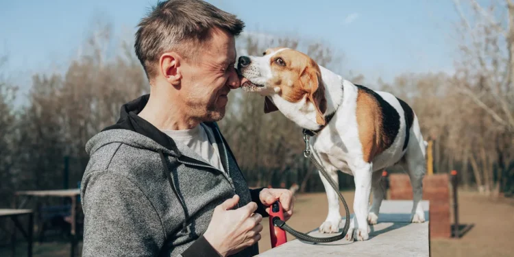 Los perros dan besos a su manera