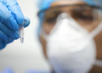 Viruela del mono: el brote actual presenta síntomas que difieren de los típicos de la enfermedad